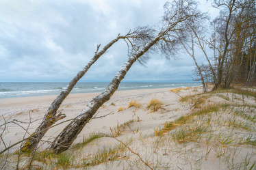 Similar image 22058727