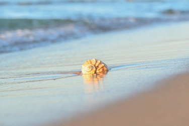 Similar image 22058729