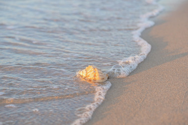 Similar image 22058730