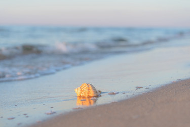 Similar image 22058731