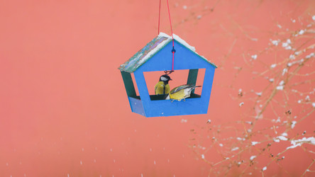 Similar image 22058733