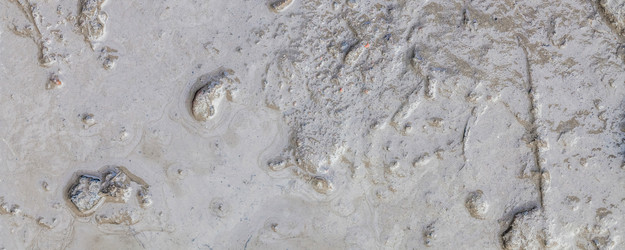 Similar image 22058737