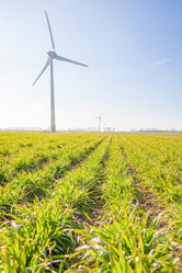 Similar image 22058740