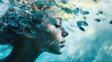 Similar image 22076899