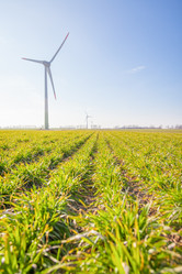 Similar image 22058741