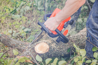 Similar image 22058756