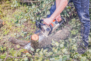 Similar image 22058757