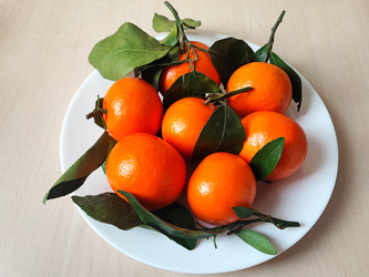 Similar image 22059279