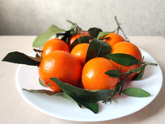 Similar image 22059280