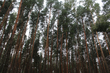 Similar image 22080889