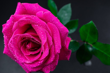 Similar image 22060695