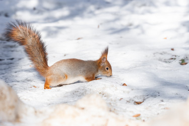 Similar image 22060697