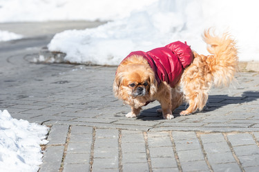 Similar image 22060699