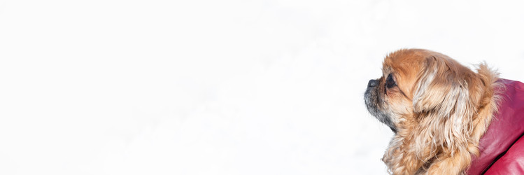 Similar image 22060722