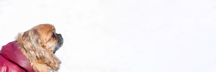 Similar image 22060726