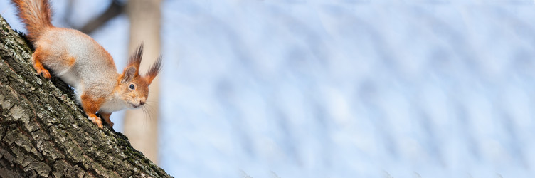 Similar image 22060907