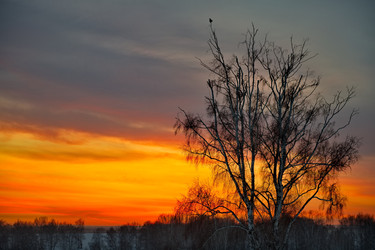 Similar image 22081518