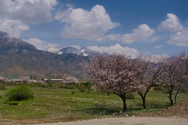 Similar image 22061722