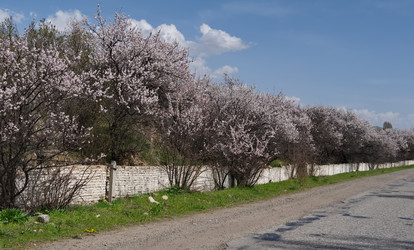 Similar image 22061723