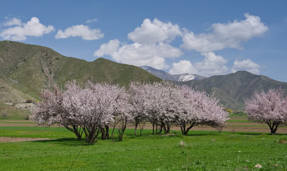 Similar image 22061725