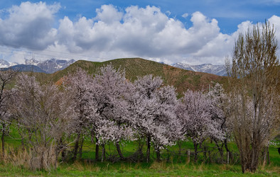 Similar image 22061726