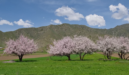 Similar image 22061727