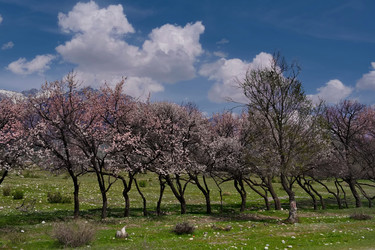 Similar image 22061728