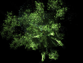 Similar image 22058461