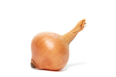 Similar image 22060919