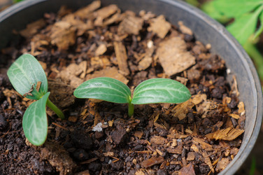 Similar image 22071493