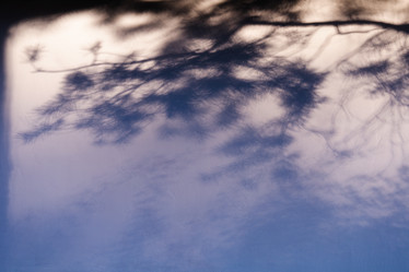 Similar image 22087704