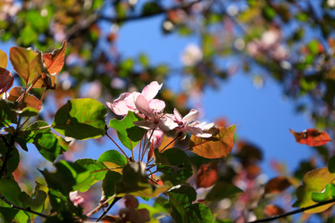 Similar image 22087706