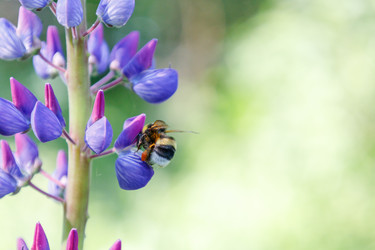 Similar image 22087707