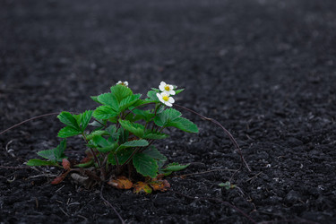 Similar image 22066865