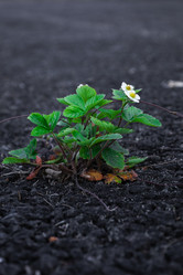 Similar image 22066866