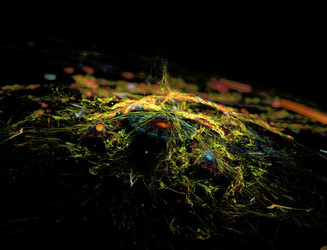 Similar image 22058767