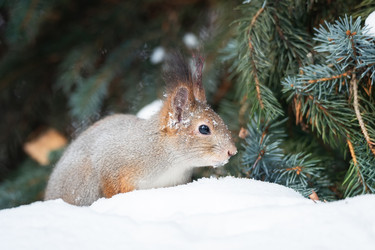 Similar image 22060320