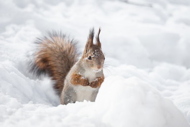 Similar image 22060758