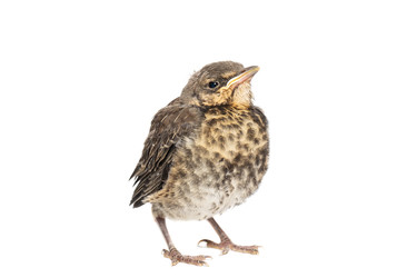 Similar image 22060772