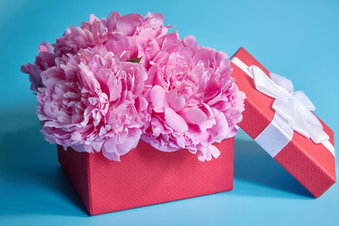 Similar image 22059427