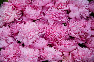 Similar image 22059442