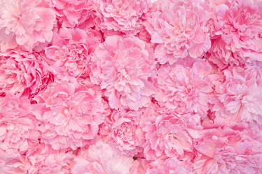 Similar image 22059448