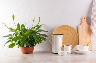 Similar image 22058806