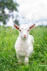 Similar image 22061130