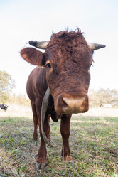 Similar image 22061136