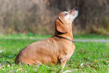 Similar image 22061479