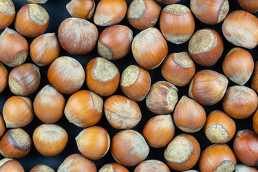 Similar image 22061483