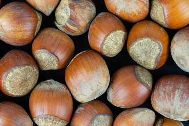 Similar image 22061485