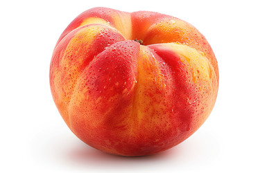 Similar image 22087082