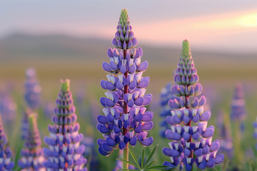 Similar image 22087083